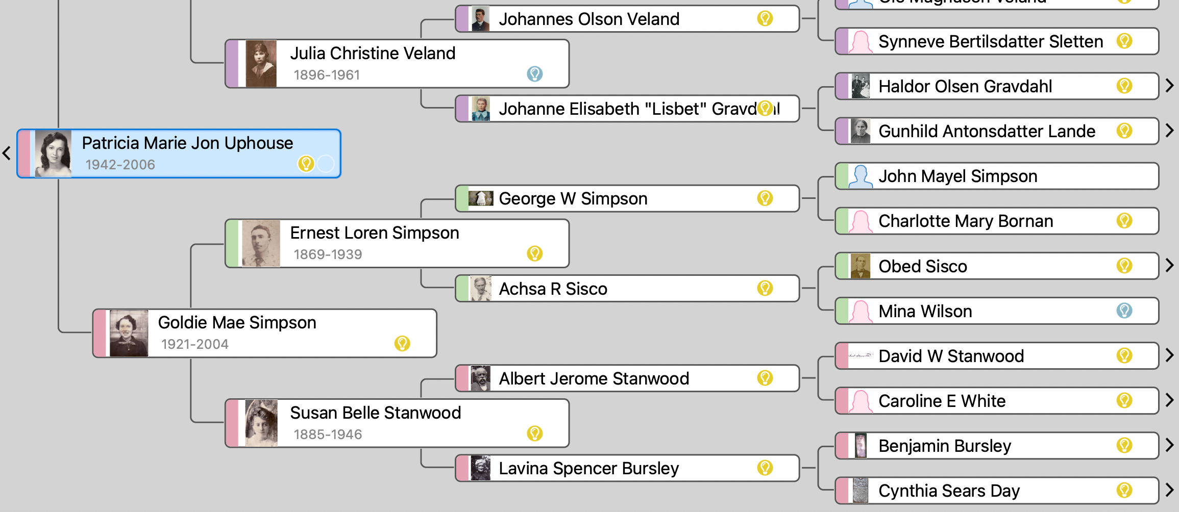 The Chosen Genealogist