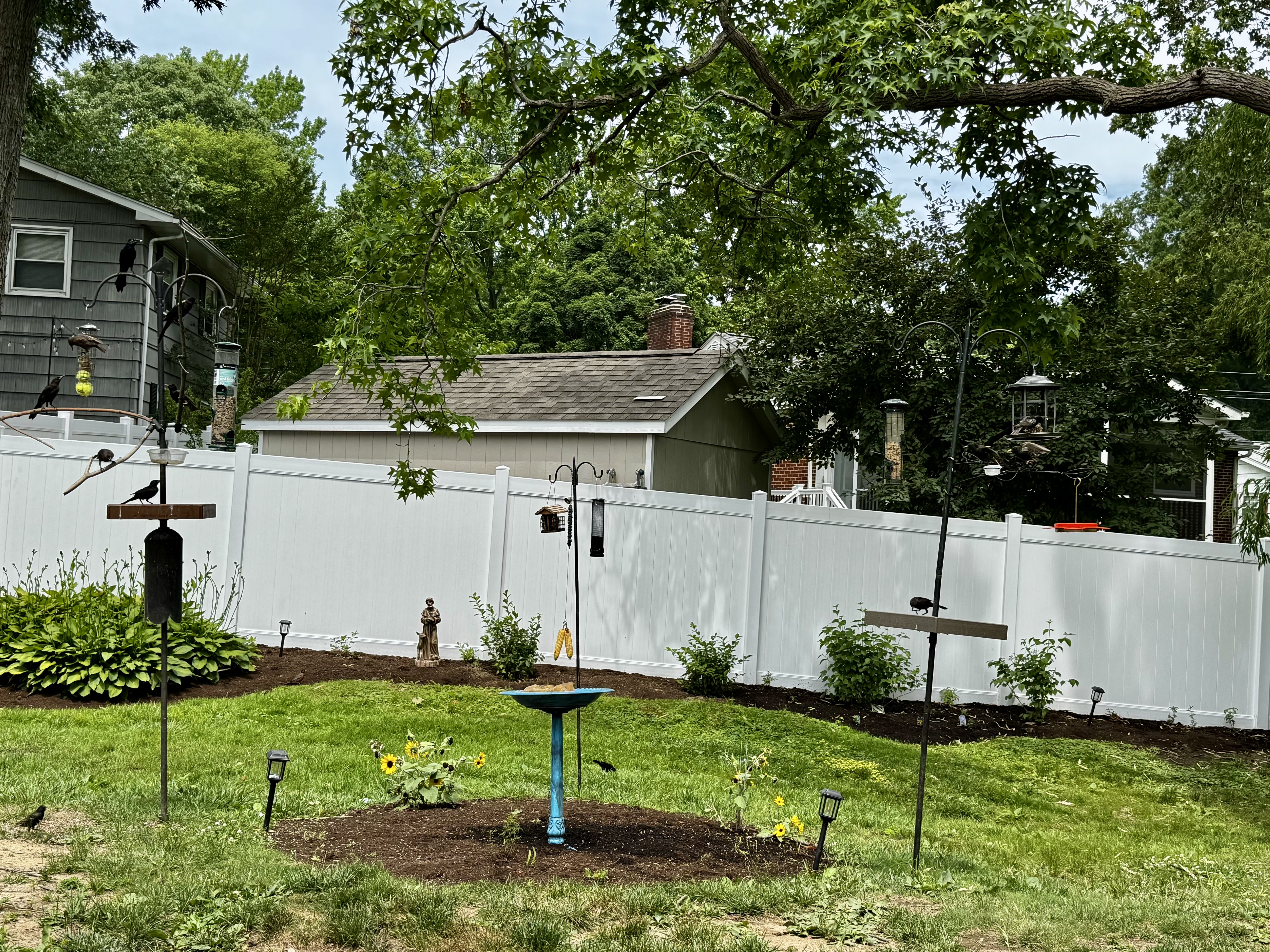 Birds and genealogy